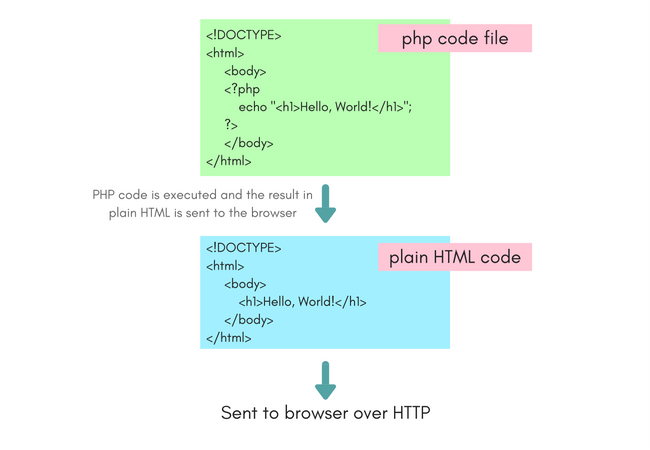 What Makes PHP Rule the Software Market Till Now 1