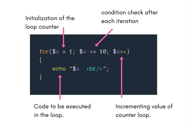 PHP For Loop and Foreach Loop | Studytonight